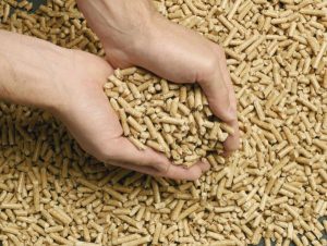 différence pellets et granulés de bois différence pellets et granulés de bois